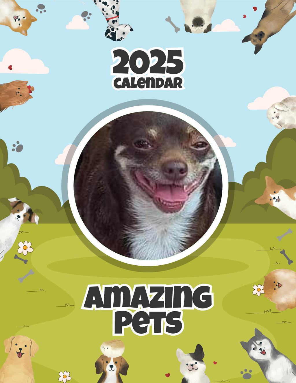 Amazing Pets: 2025 Wall Calendar (Pre-Order)