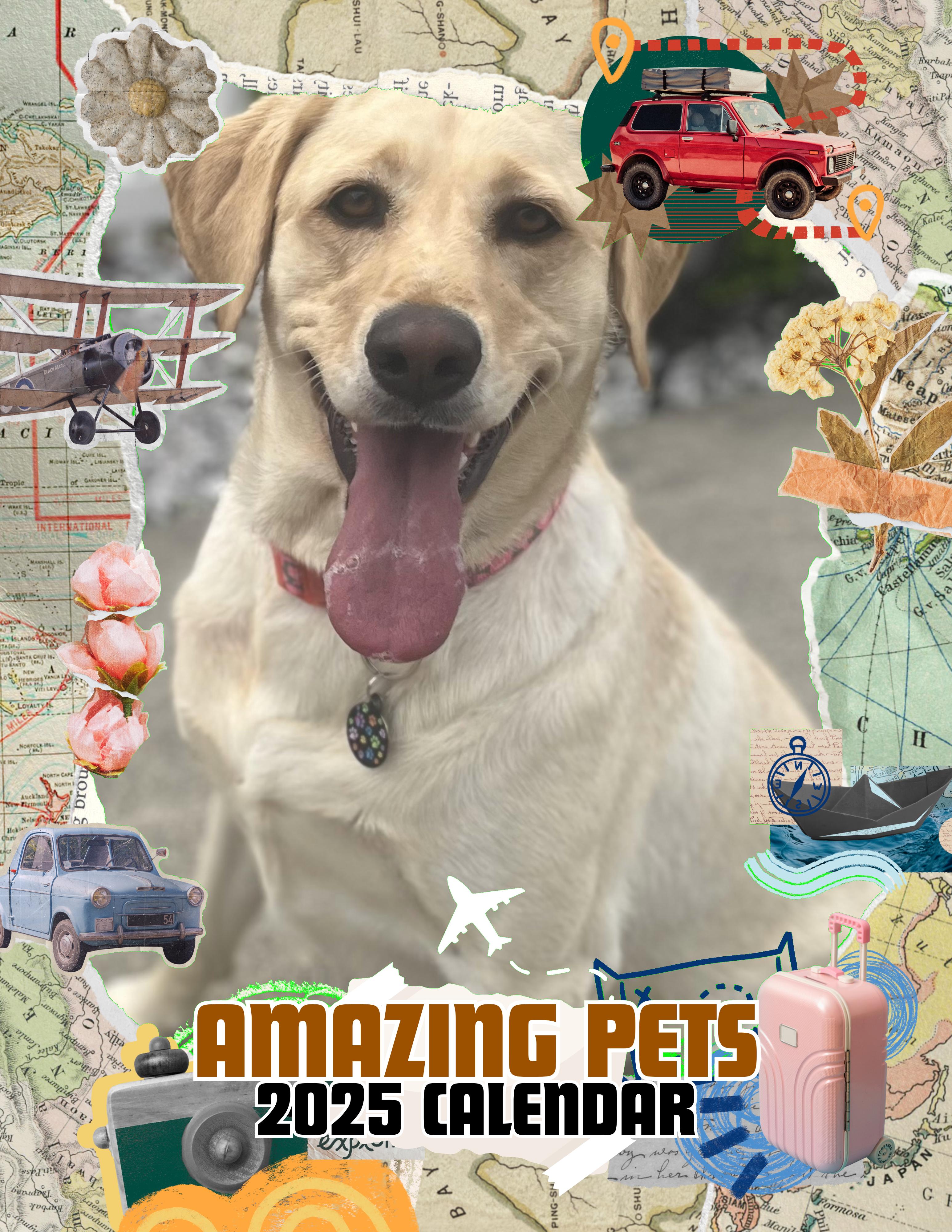 Amazing Pets: 2025 Wall Calendar (Pre-Order)