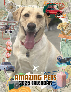 Amazing Pets: 2025 Wall Calendar (Pre-Order)