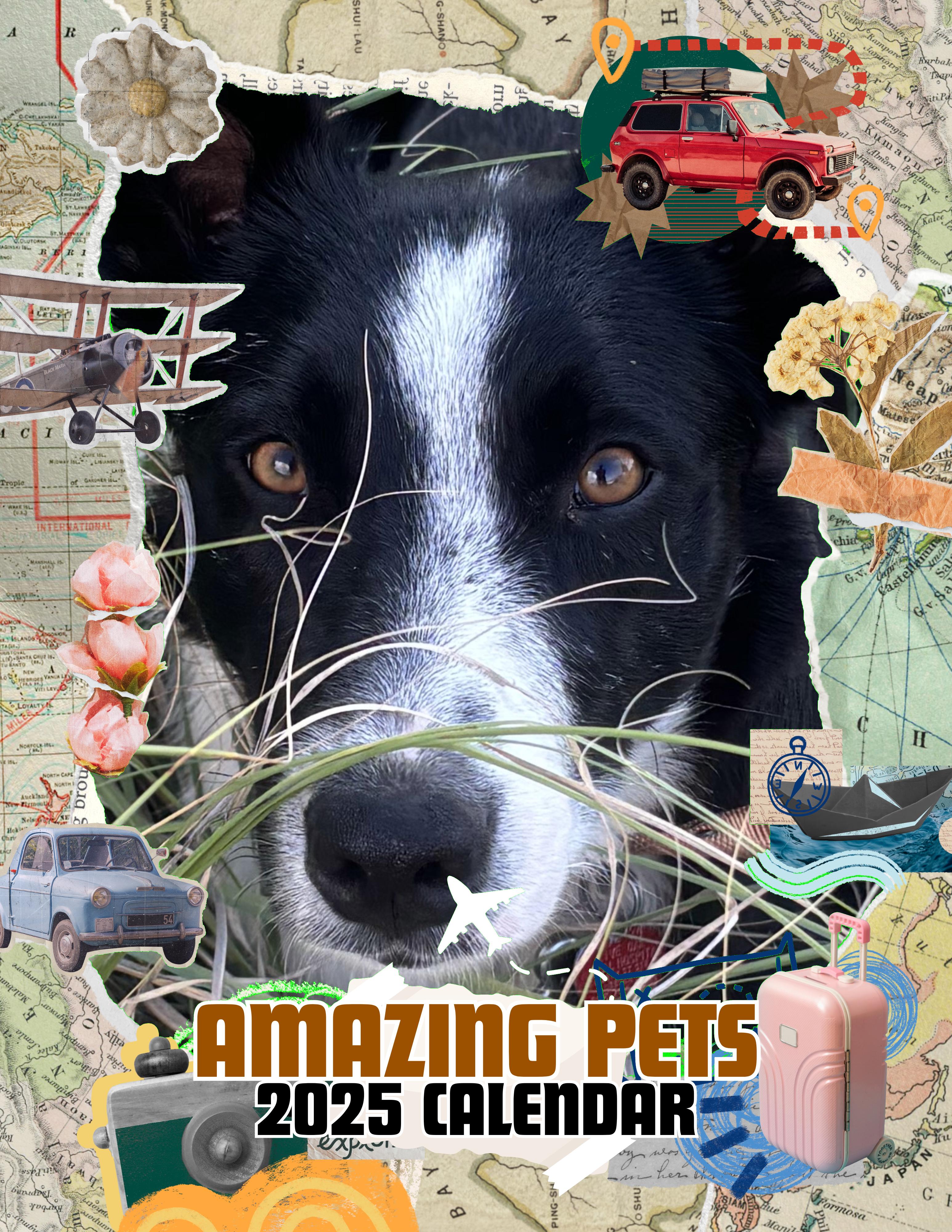 Amazing Pets: 2025 Wall Calendar (Pre-Order)