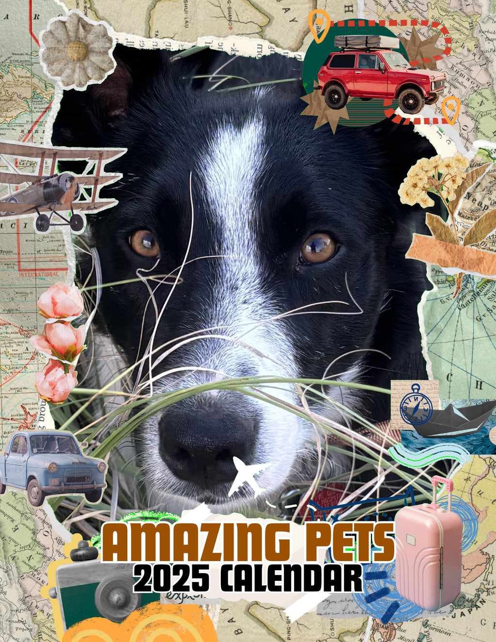 Amazing Pets: 2025 Wall Calendar (Pre-Order)