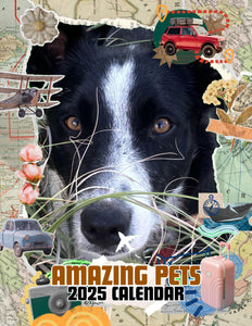 Amazing Pets: 2025 Wall Calendar (Pre-Order)
