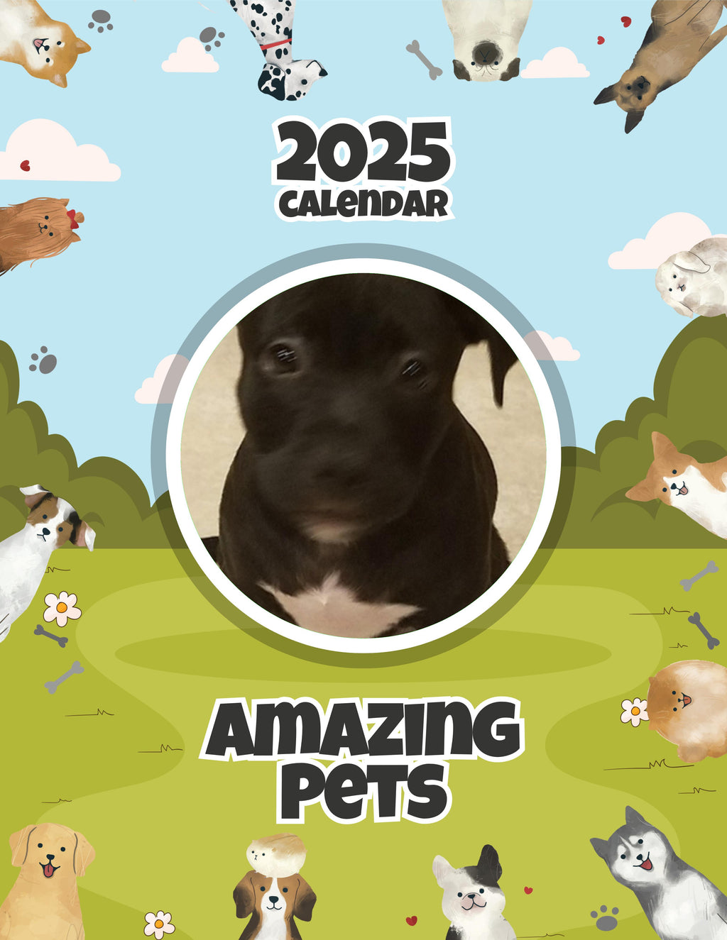 Amazing Pets: 2025 Wall Calendar (Pre-Order)
