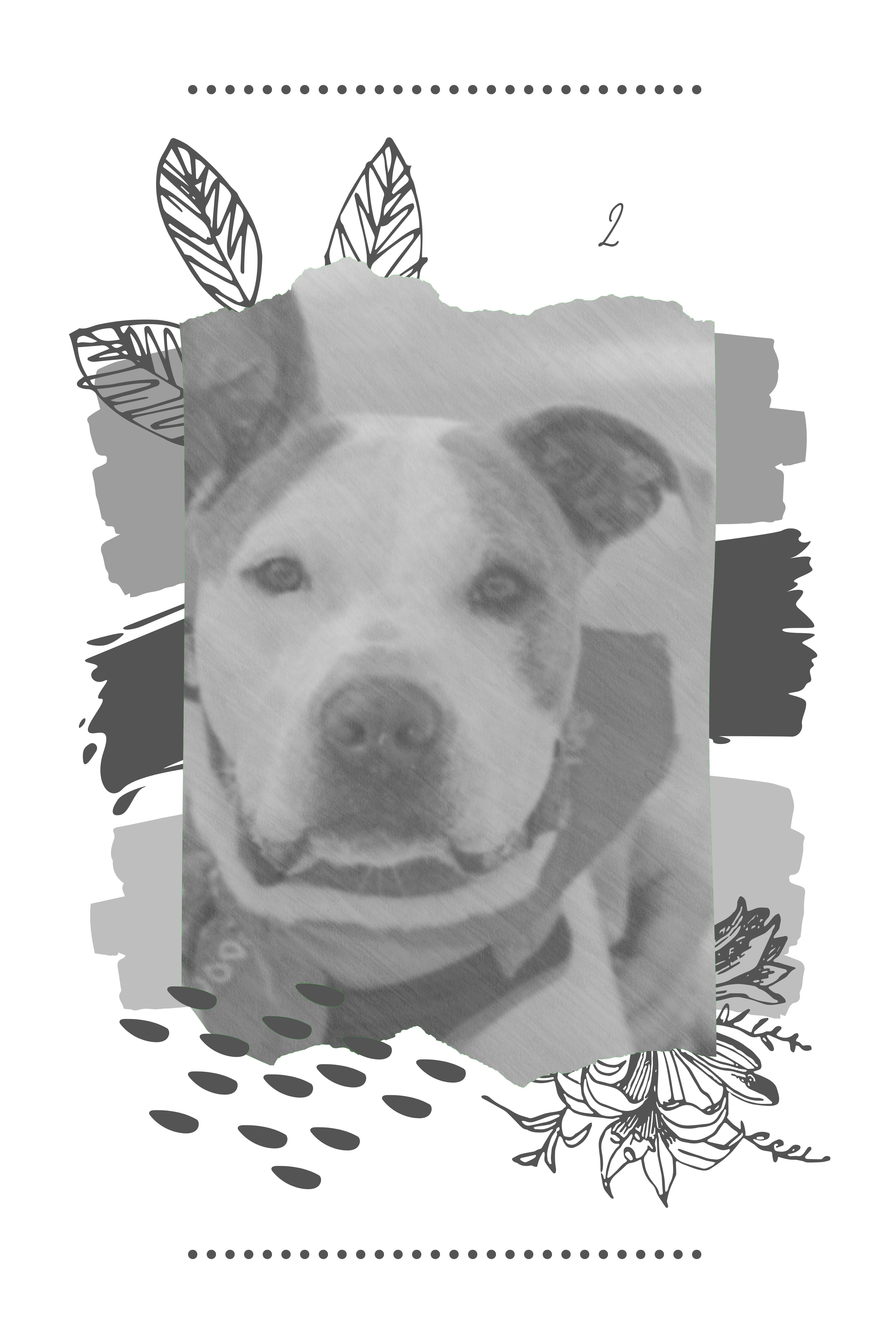 2 the Magnificent: Sketch Art Canvas