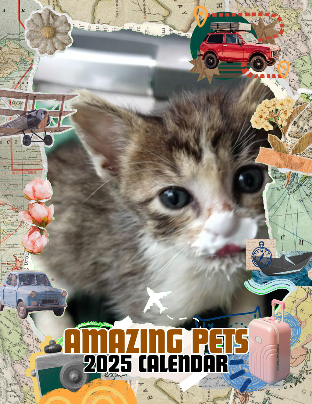 Amazing Pets: 2025 Wall Calendar (Pre-Order)