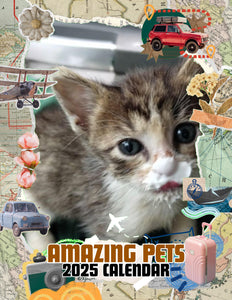 Amazing Pets: 2025 Wall Calendar (Pre-Order)