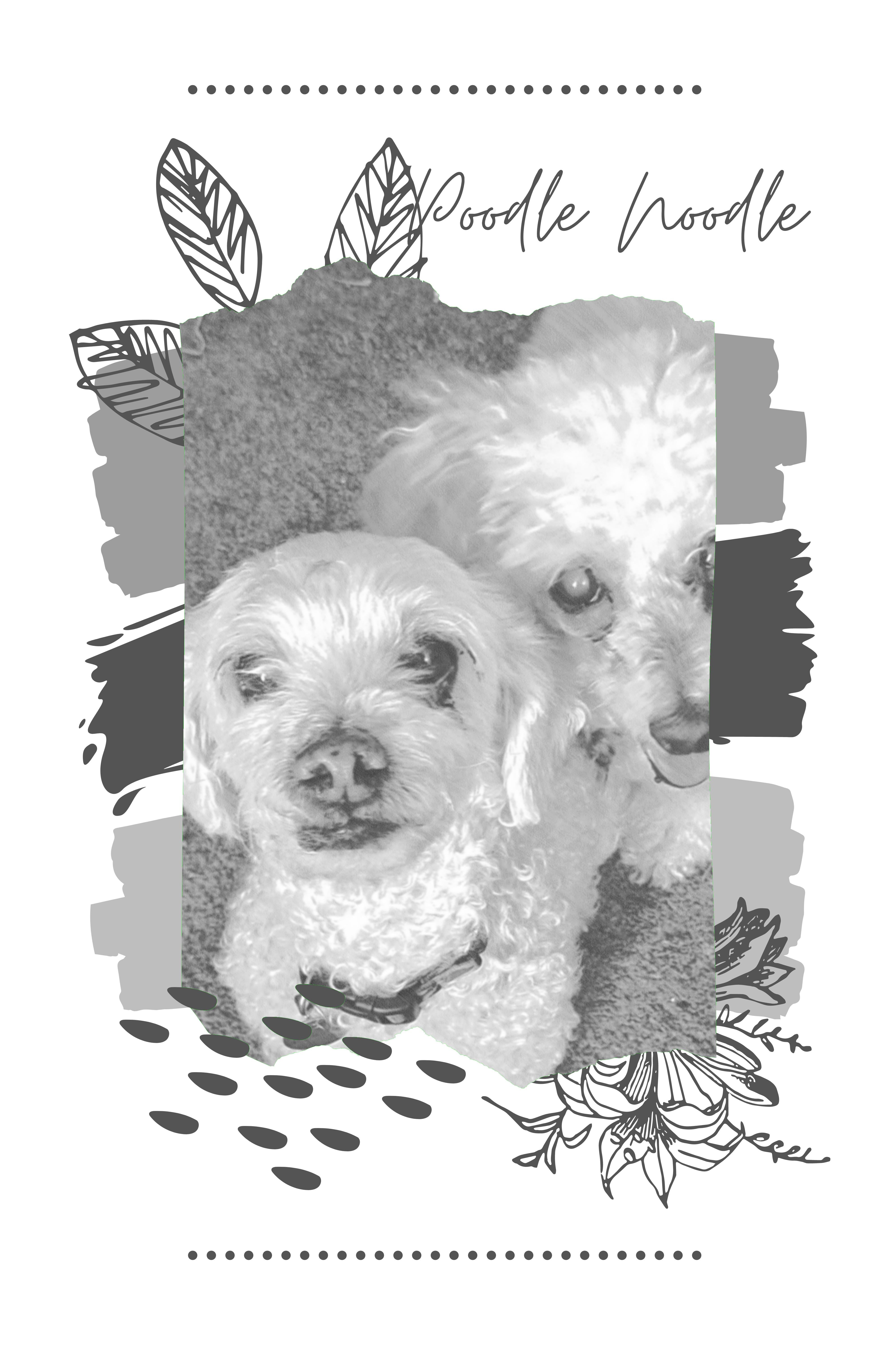 Poodle Noodle the Magnificent: Sketch Art Canvas