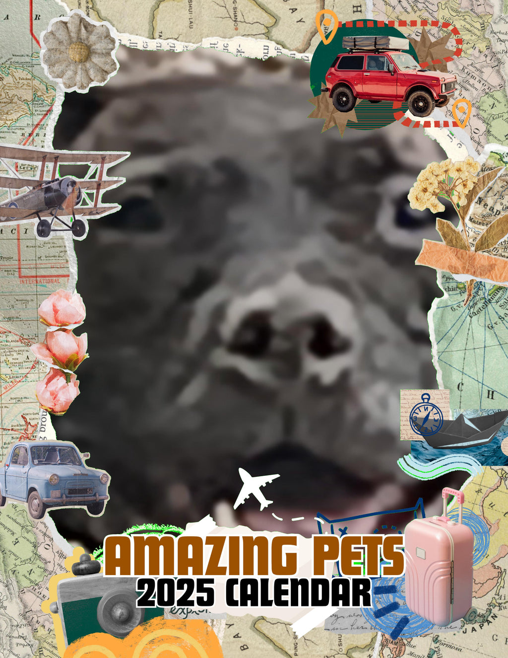 Amazing Pets: 2025 Wall Calendar (Pre-Order)