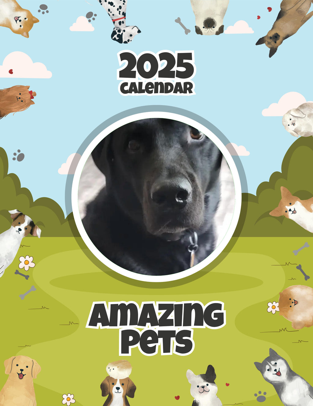 Amazing Pets: 2025 Wall Calendar (Pre-Order)