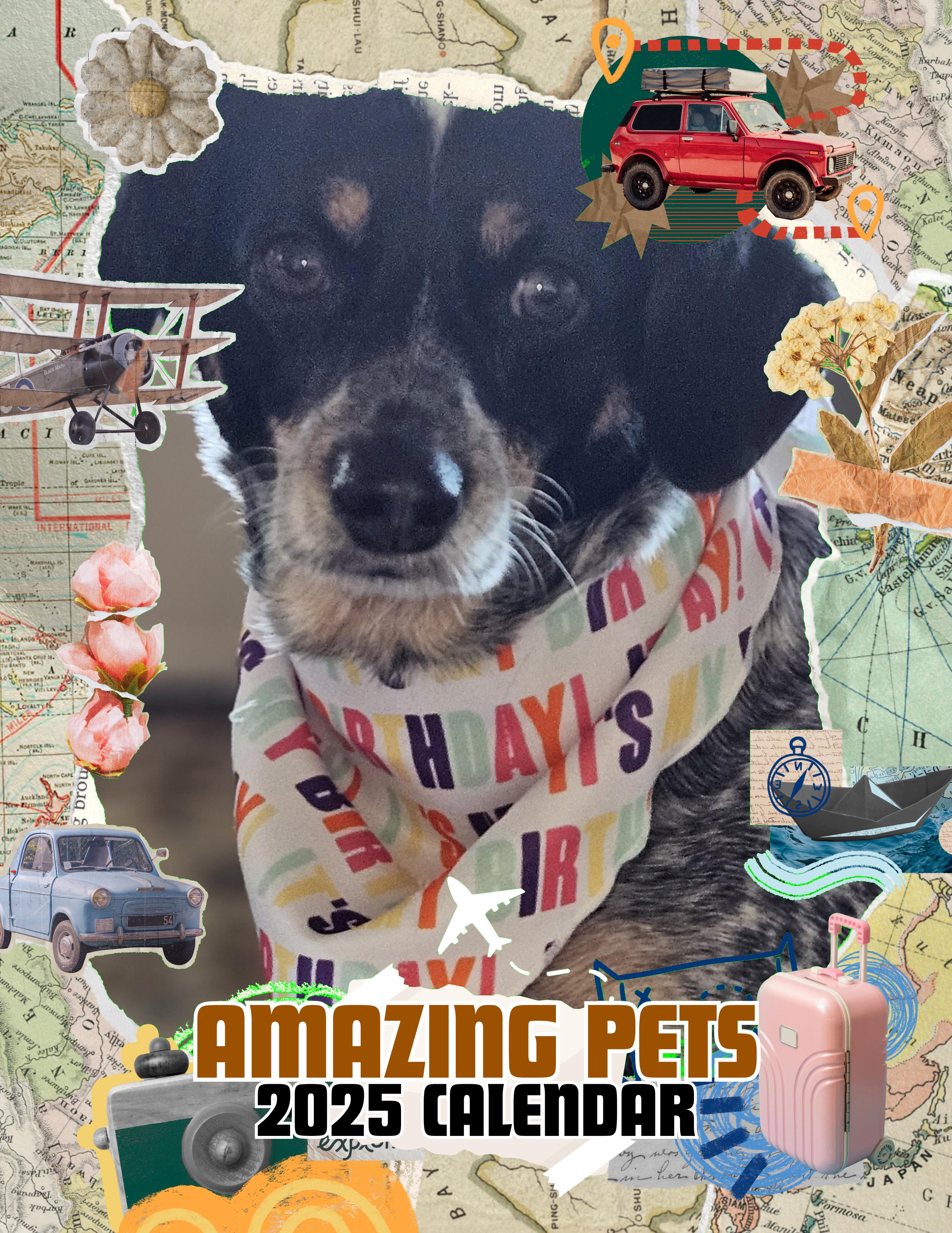Amazing Pets: 2025 Wall Calendar (Pre-Order)
