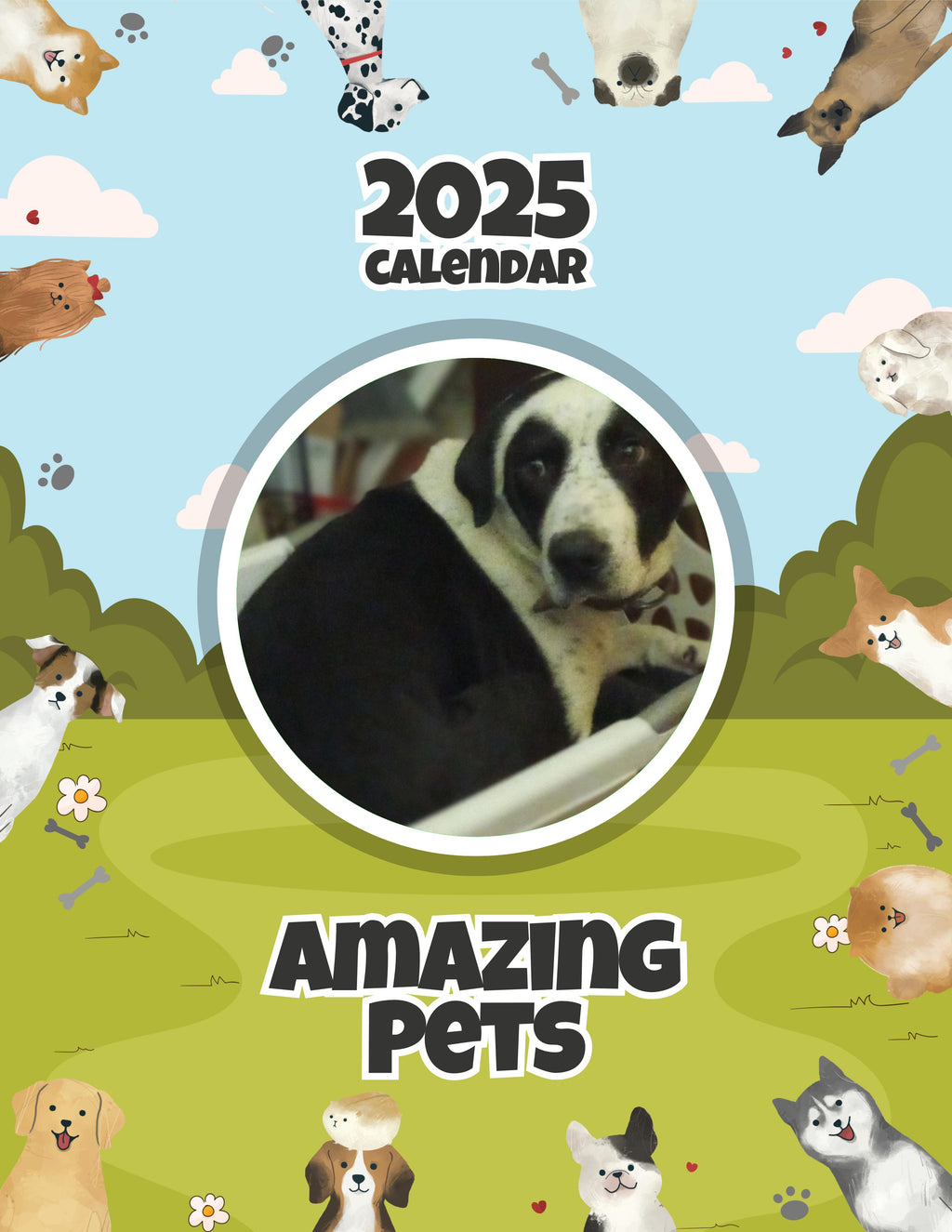 Amazing Pets: 2025 Wall Calendar (Pre-Order)