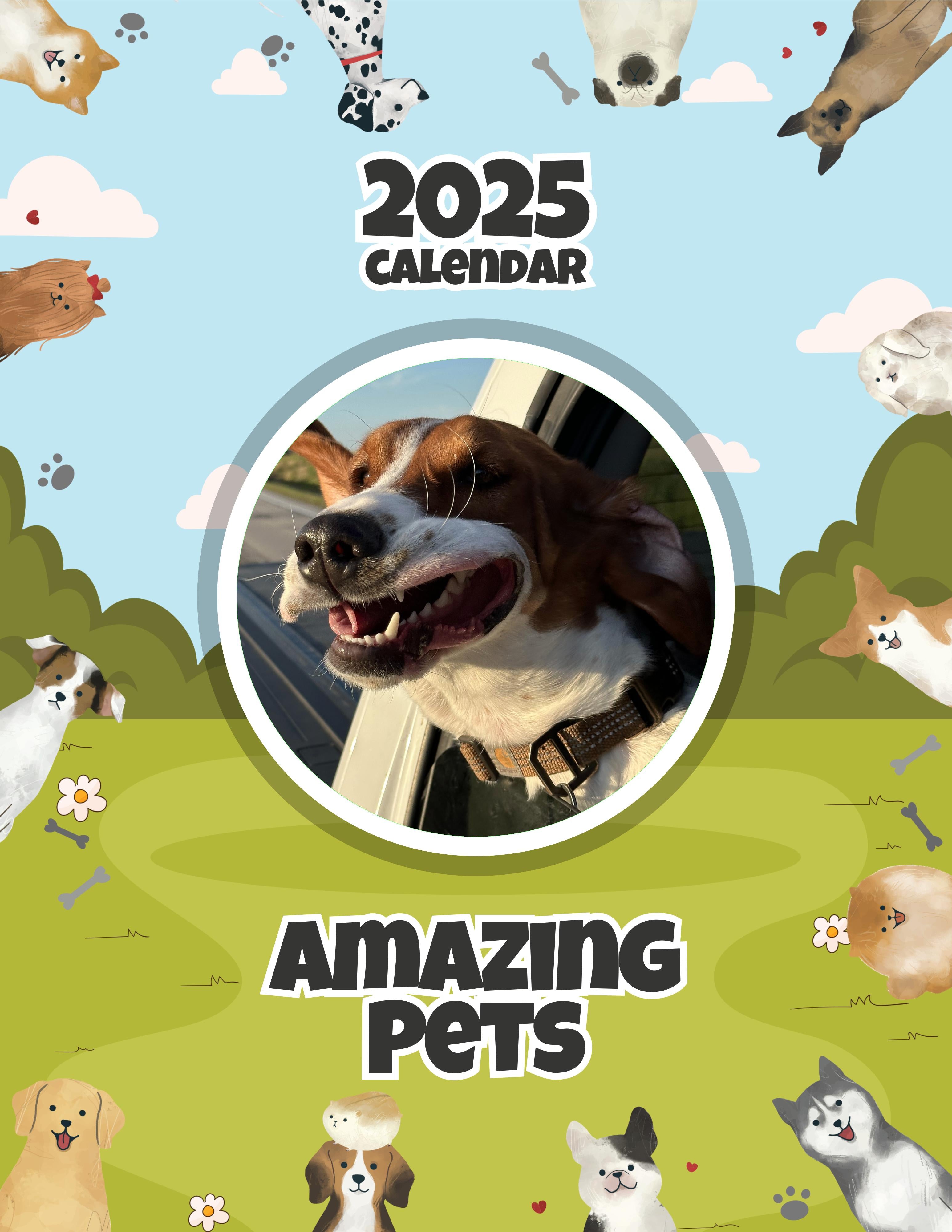 Amazing Pets: 2025 Wall Calendar (Pre-Order)