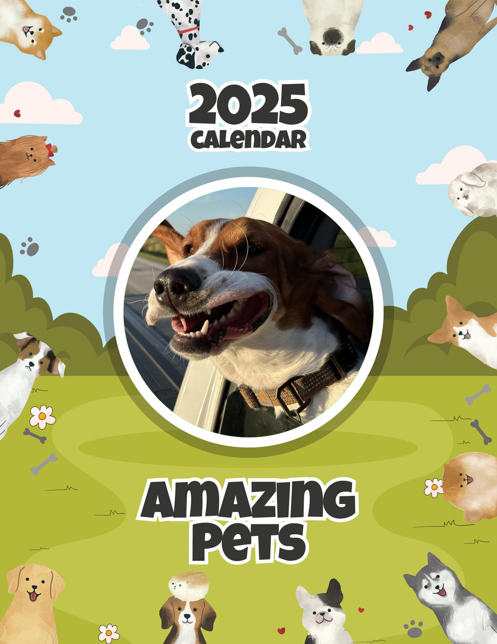 Amazing Pets: 2025 Wall Calendar (Pre-Order)