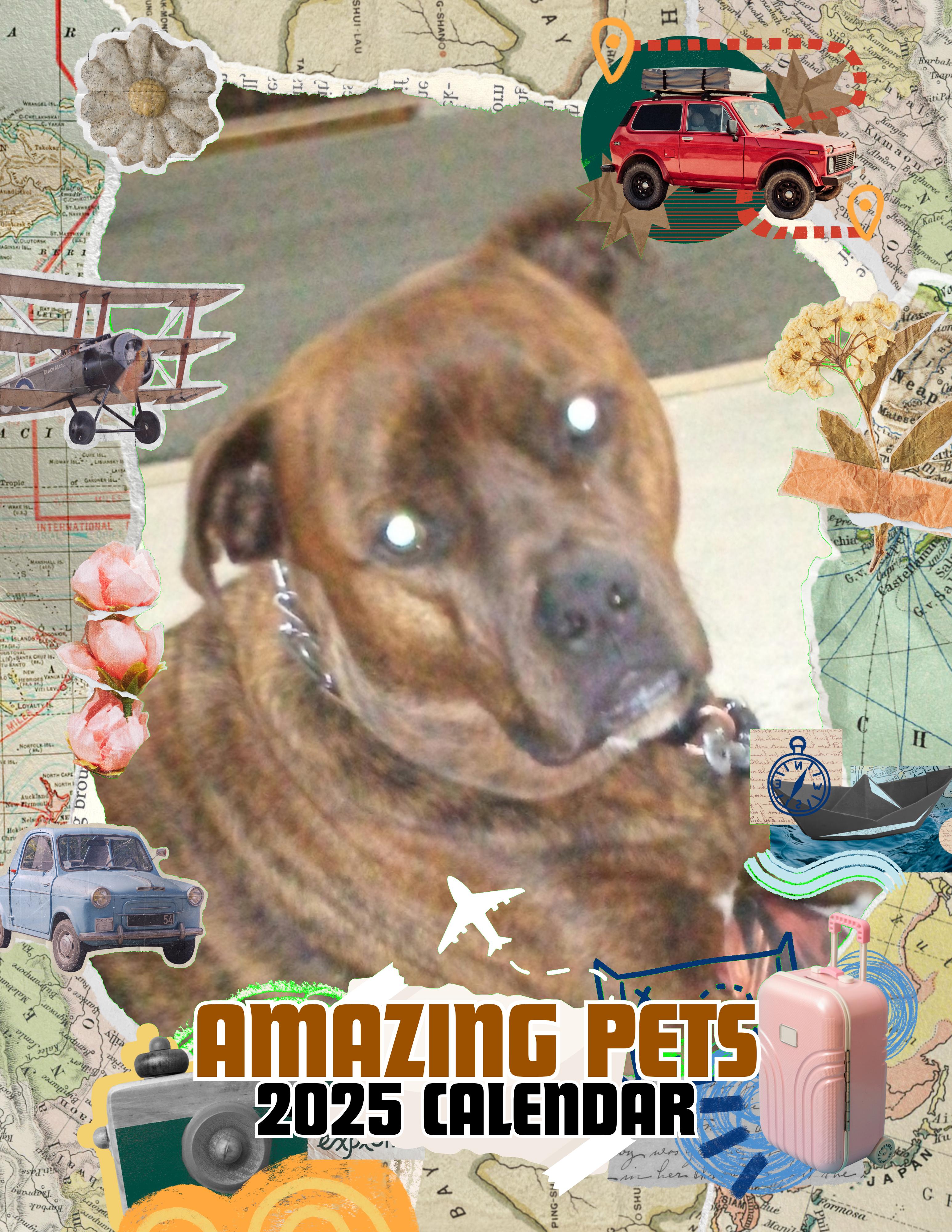 Amazing Pets: 2025 Wall Calendar (Pre-Order)