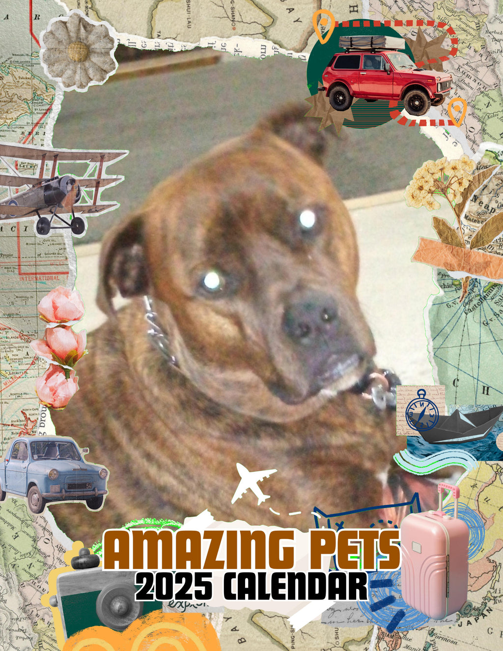 Amazing Pets: 2025 Wall Calendar (Pre-Order)