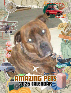 Amazing Pets: 2025 Wall Calendar (Pre-Order)