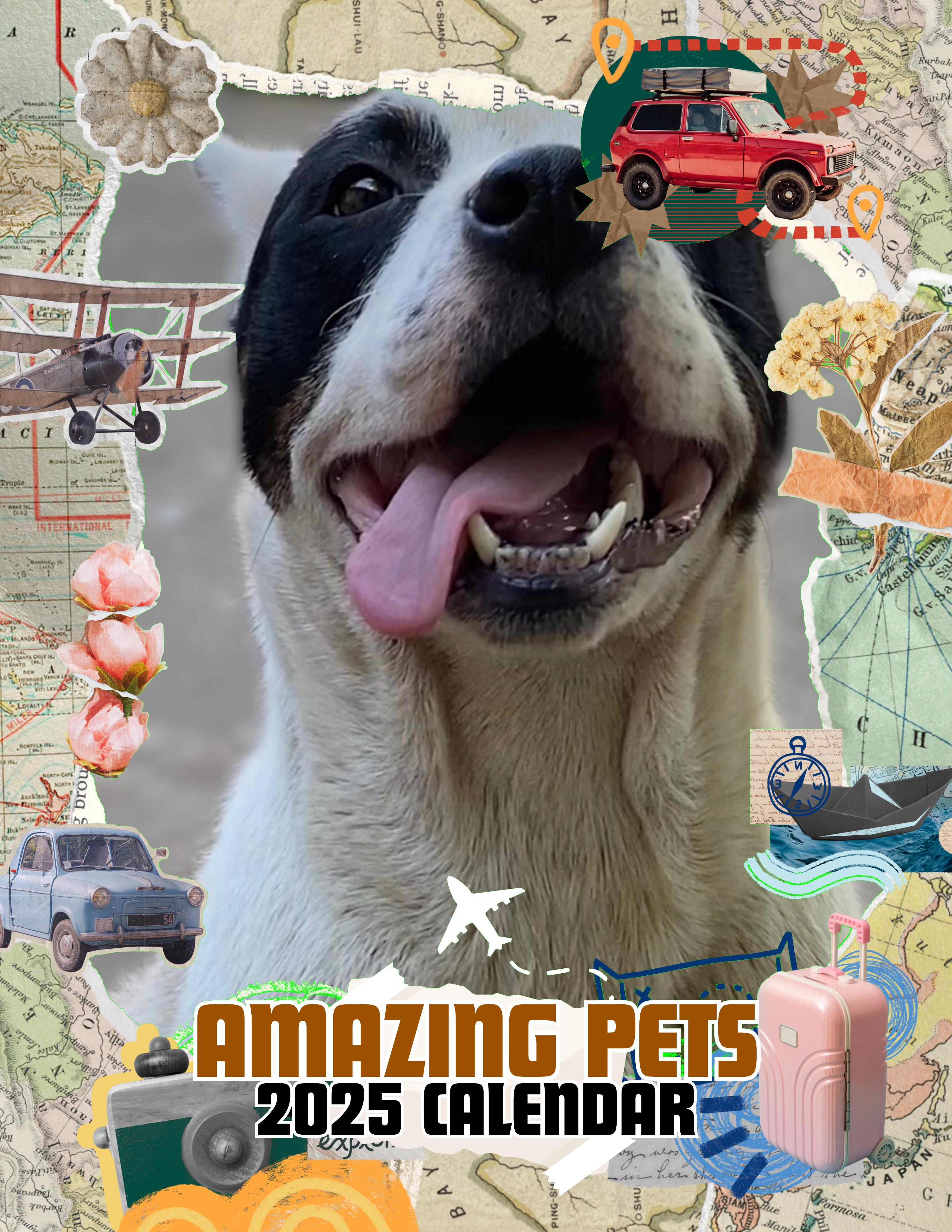 Amazing Pets: 2025 Wall Calendar (Pre-Order)