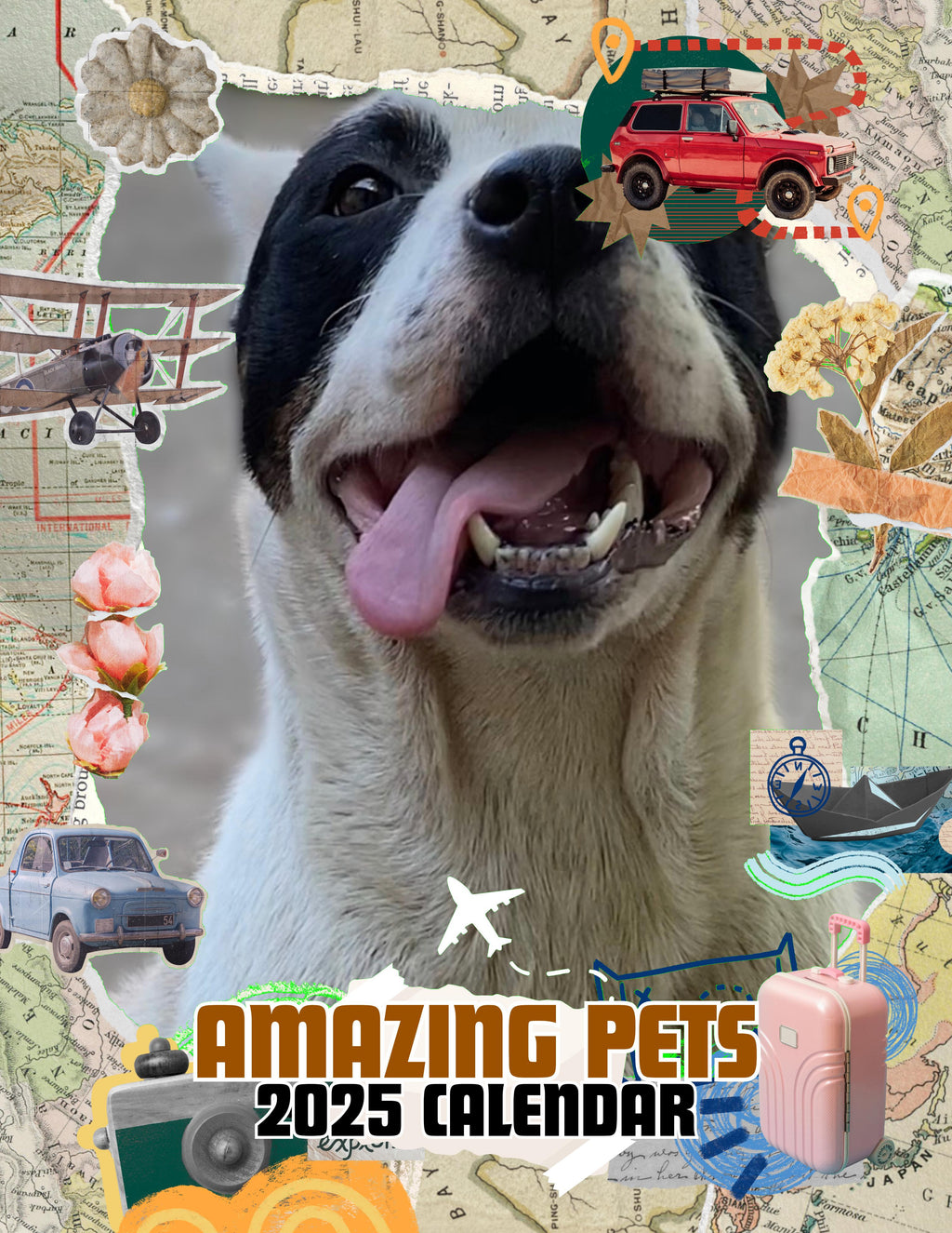 Amazing Pets: 2025 Wall Calendar (Pre-Order)