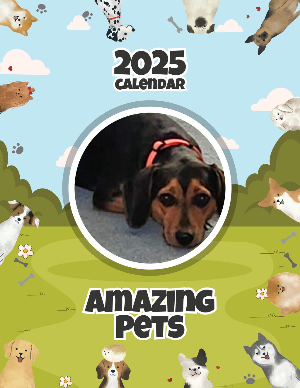Amazing Pets: 2025 Wall Calendar (Pre-Order)