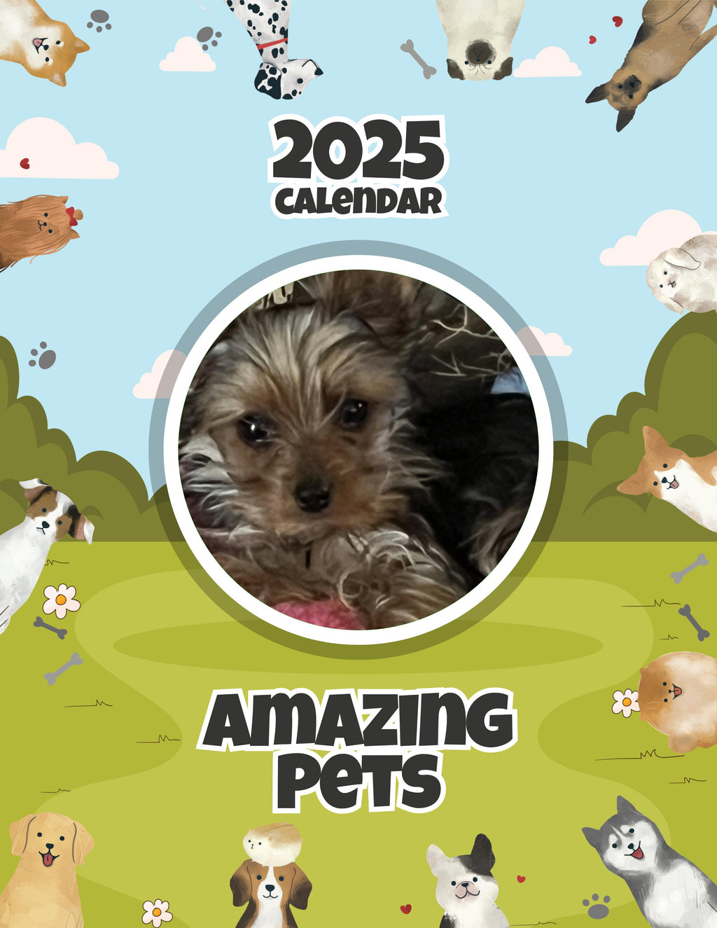 Amazing Pets: 2025 Wall Calendar (Pre-Order)
