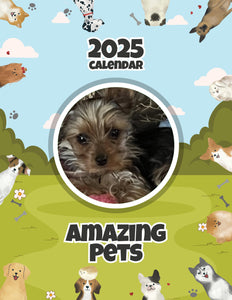 Amazing Pets: 2025 Wall Calendar (Pre-Order)
