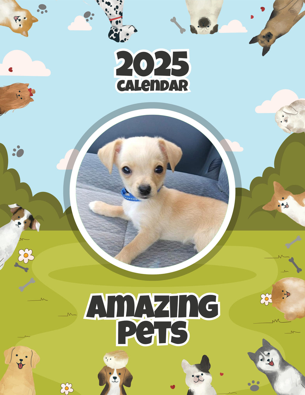 Amazing Pets: 2025 Wall Calendar (Pre-Order)