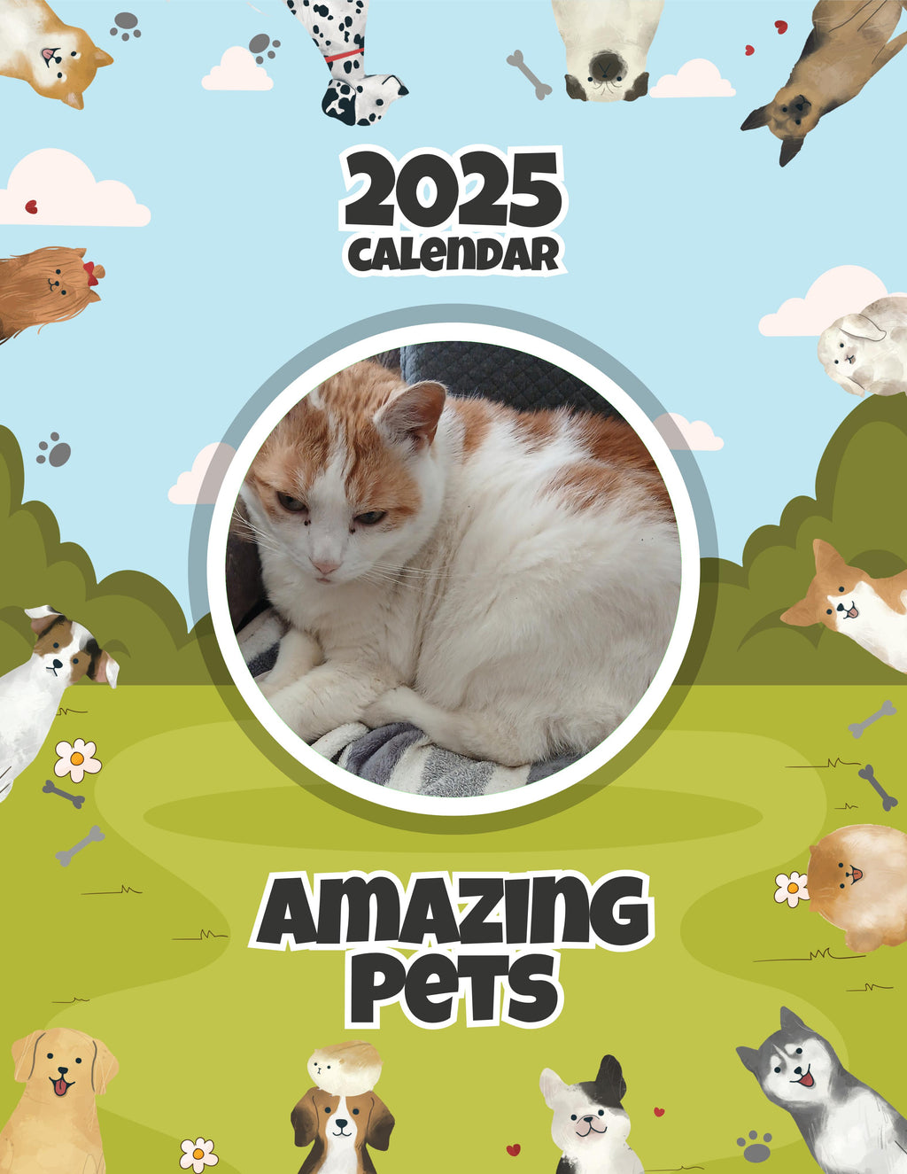 Amazing Pets: 2025 Wall Calendar (Pre-Order)
