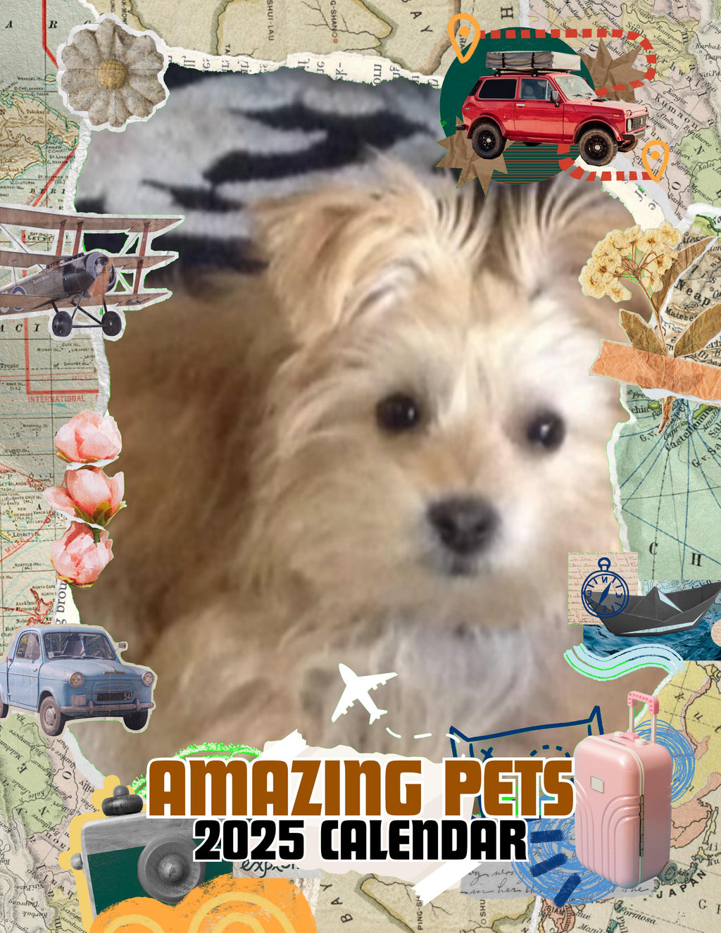 Amazing Pets: 2025 Wall Calendar (Pre-Order)