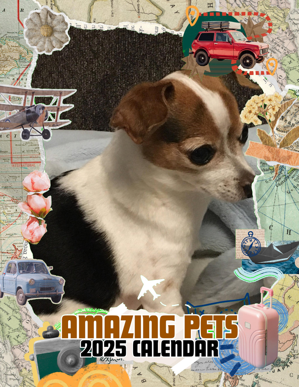 Amazing Pets: 2025 Wall Calendar (Pre-Order)