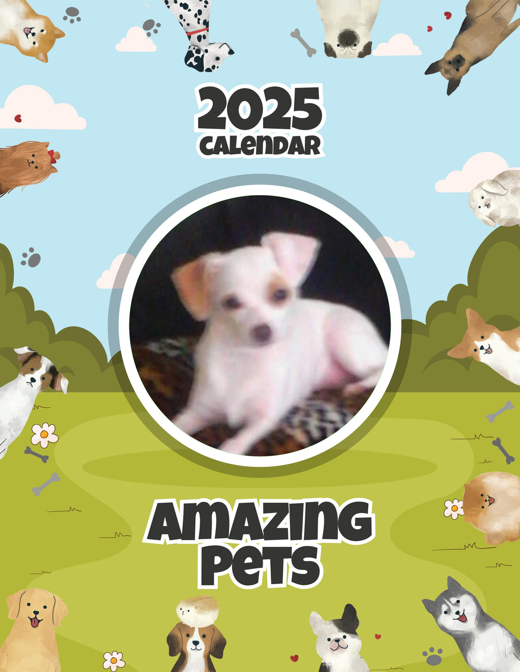 Amazing Pets: 2025 Wall Calendar (Pre-Order)