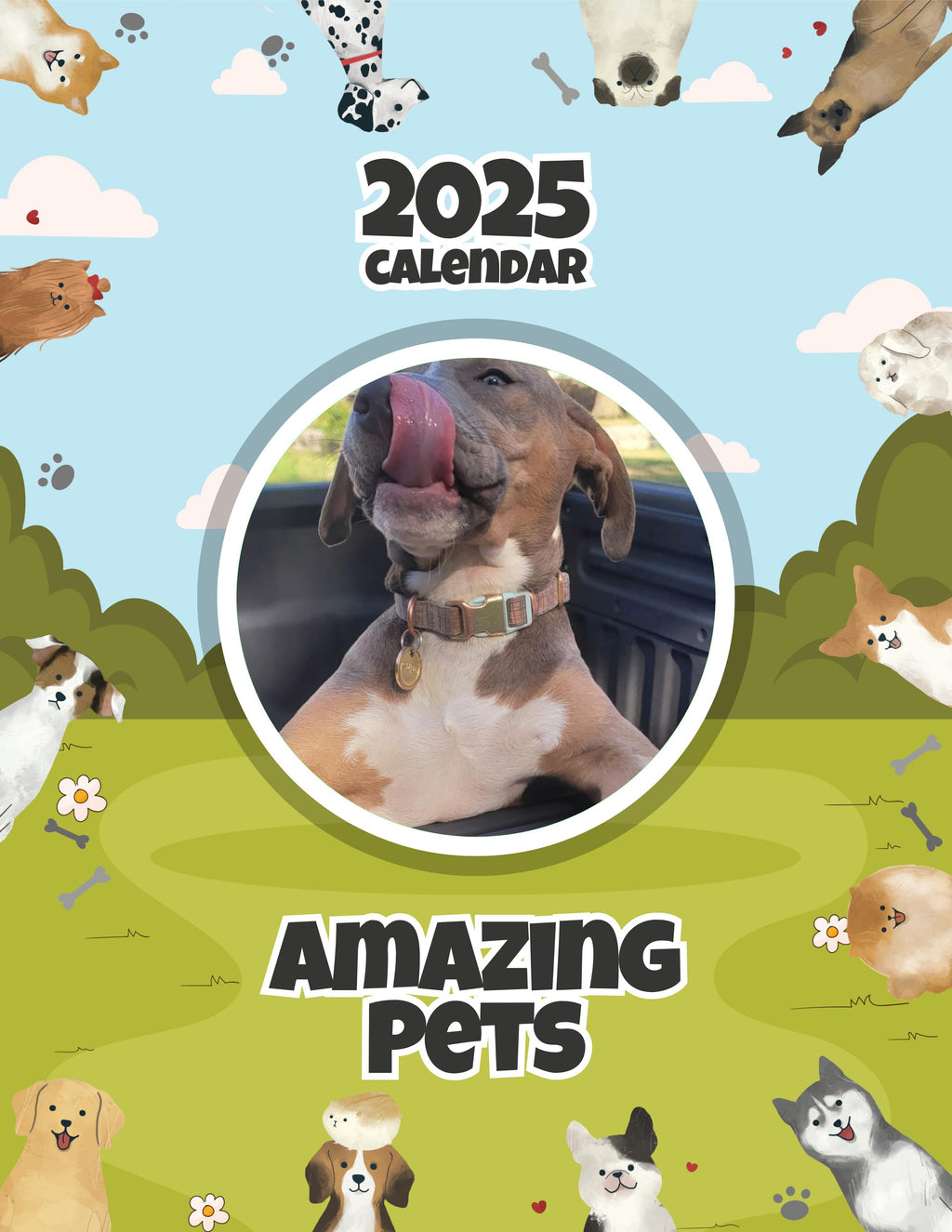 Amazing Pets: 2025 Wall Calendar (Pre-Order)