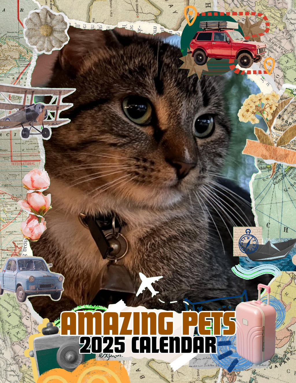 Amazing Pets: 2025 Wall Calendar (Pre-Order)