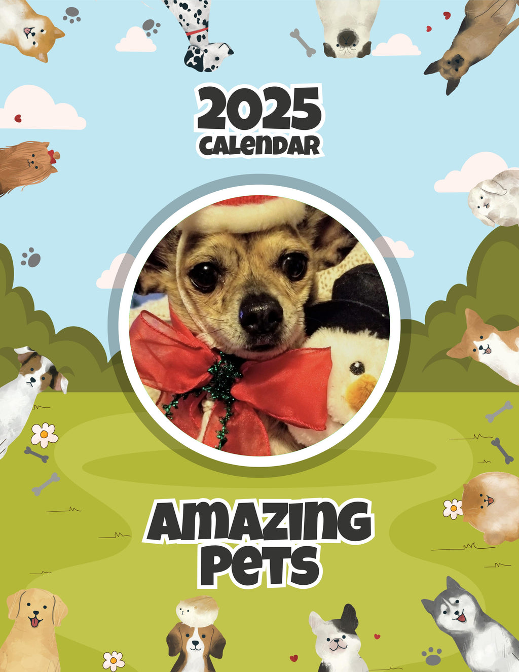 Amazing Pets: 2025 Wall Calendar (Pre-Order)