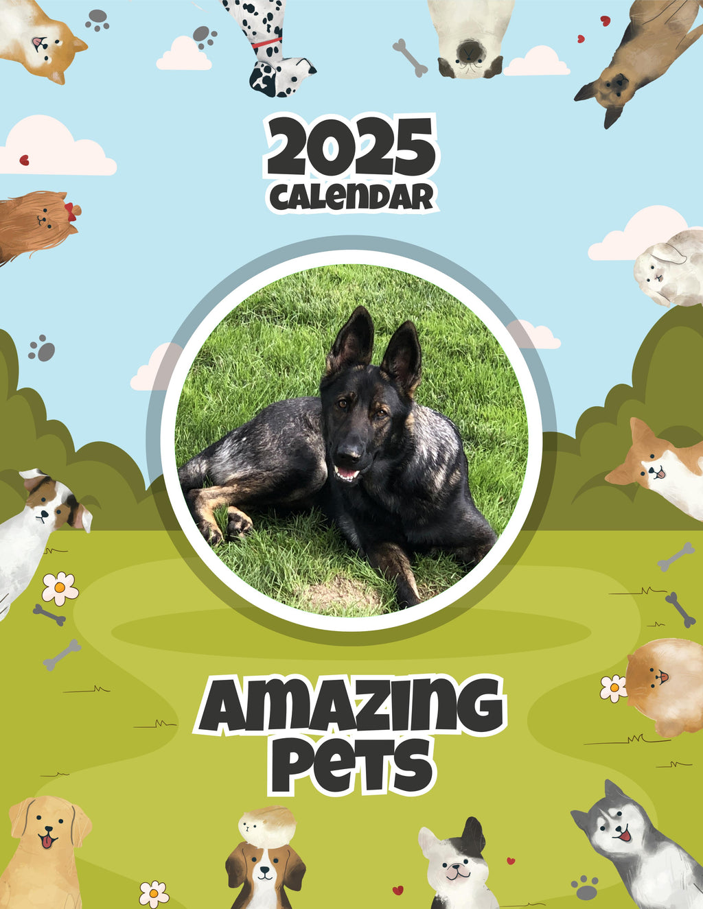 Amazing Pets: 2025 Wall Calendar (Pre-Order)