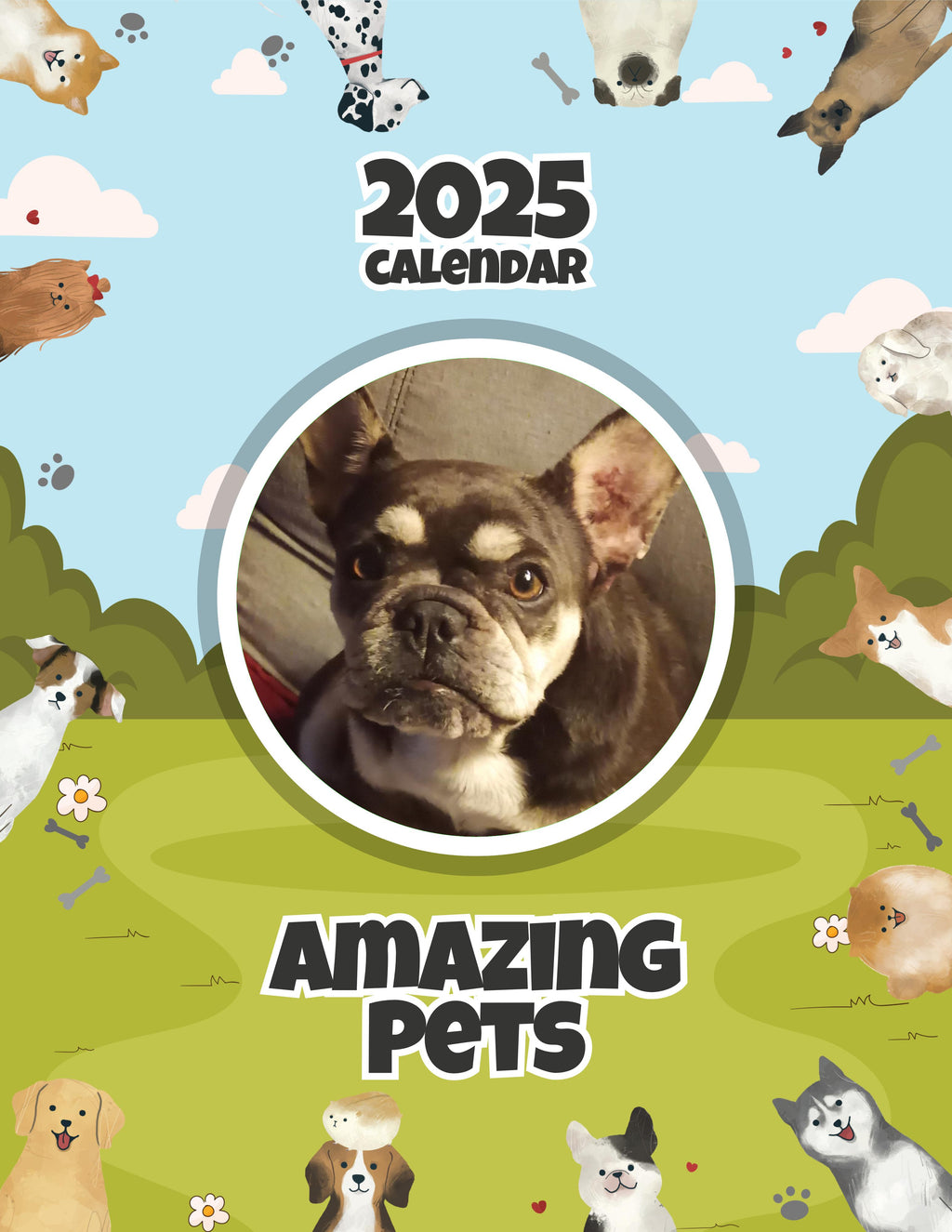 Amazing Pets: 2025 Wall Calendar (Pre-Order)