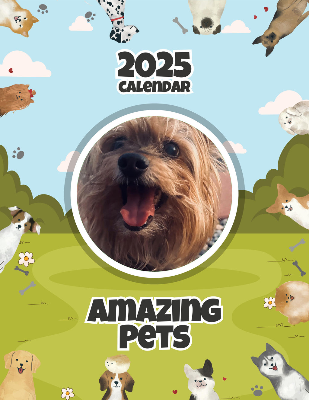Amazing Pets: 2025 Wall Calendar (Pre-Order)