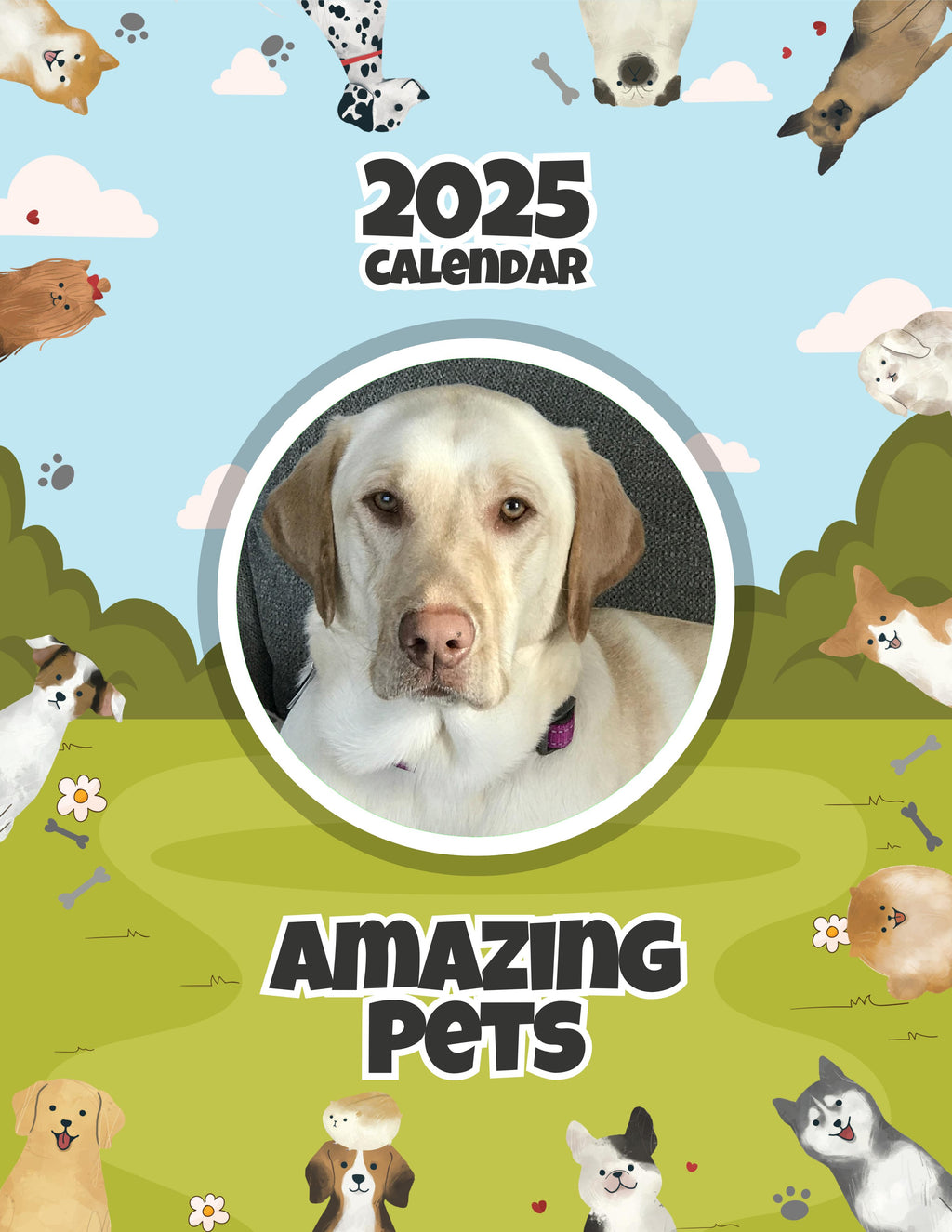Amazing Pets: 2025 Wall Calendar (Pre-Order)