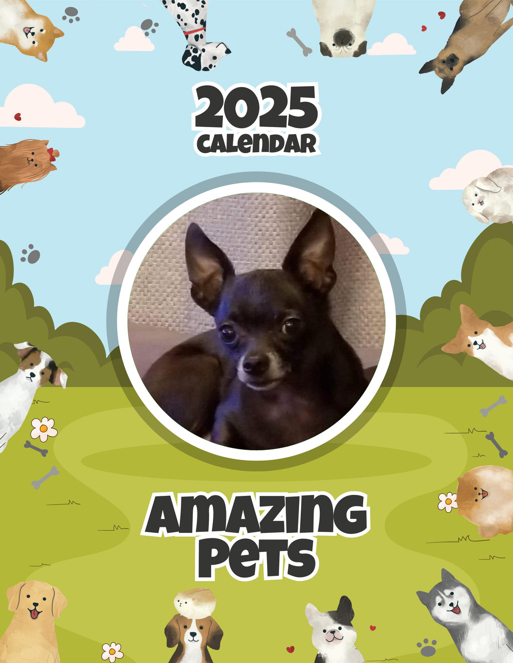 Amazing Pets: 2025 Wall Calendar (Pre-Order)