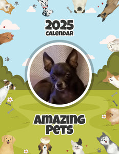 Amazing Pets: 2025 Wall Calendar (Pre-Order)