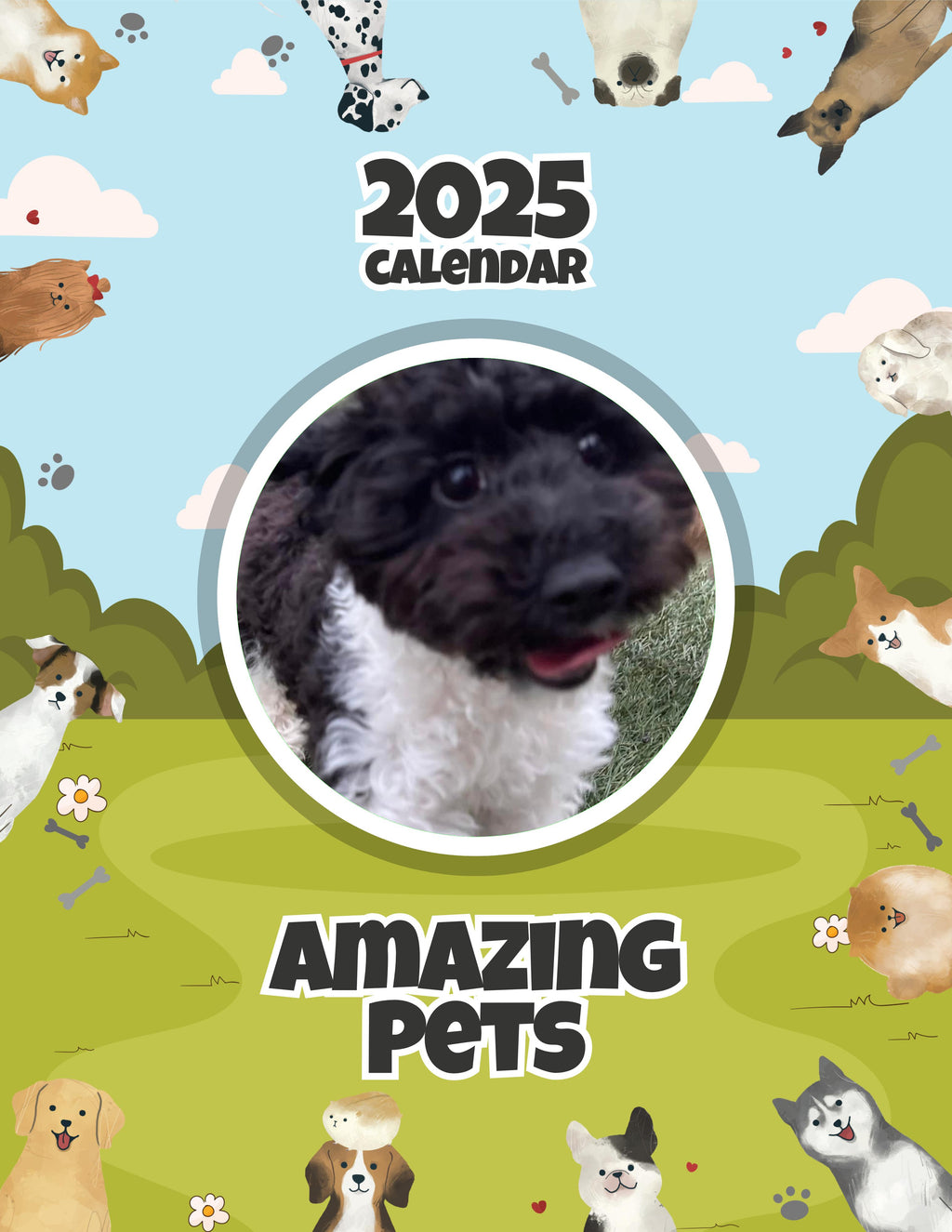 Amazing Pets: 2025 Wall Calendar (Pre-Order)