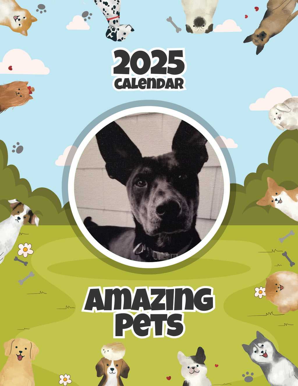 Amazing Pets: 2025 Wall Calendar (Pre-Order)