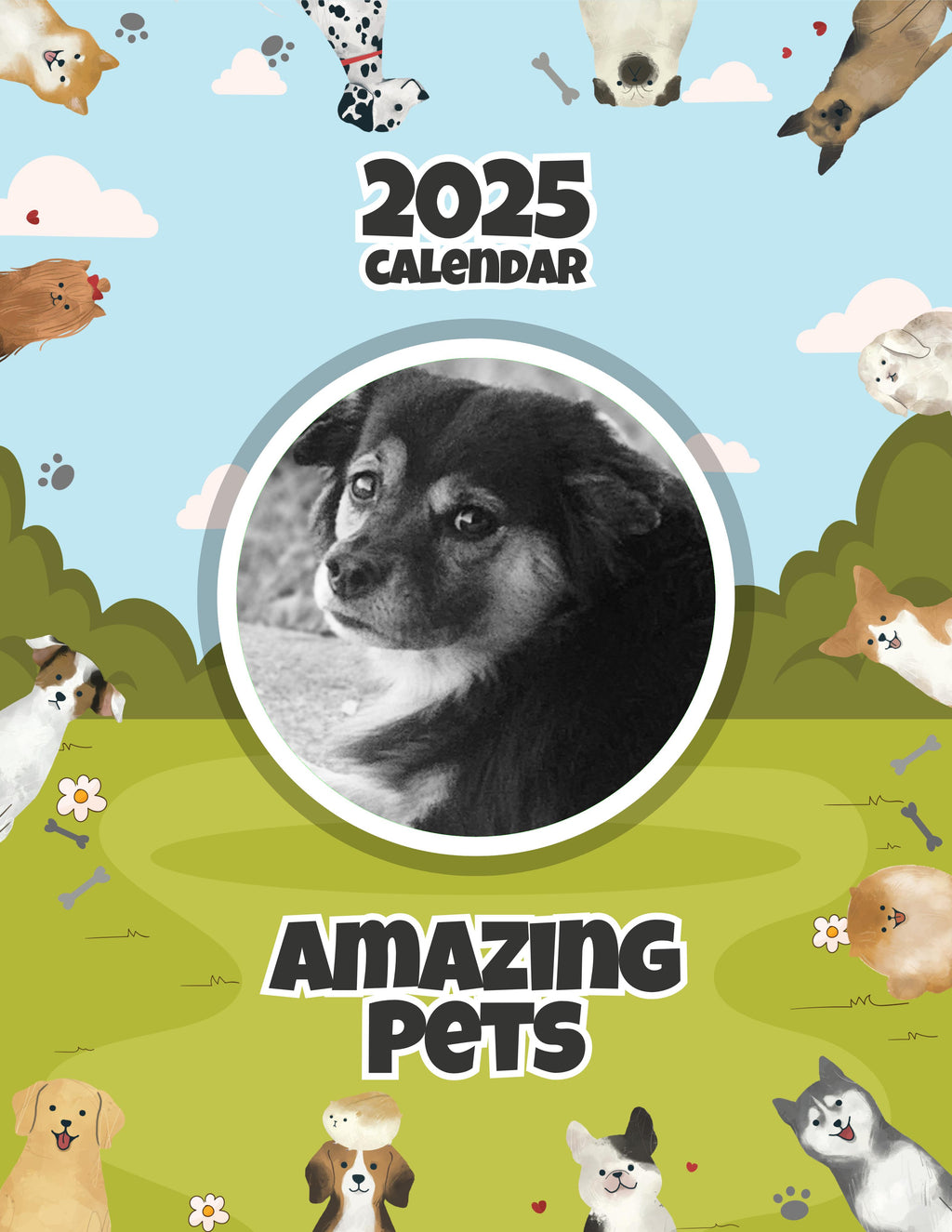 Amazing Pets: 2025 Wall Calendar (Pre-Order)