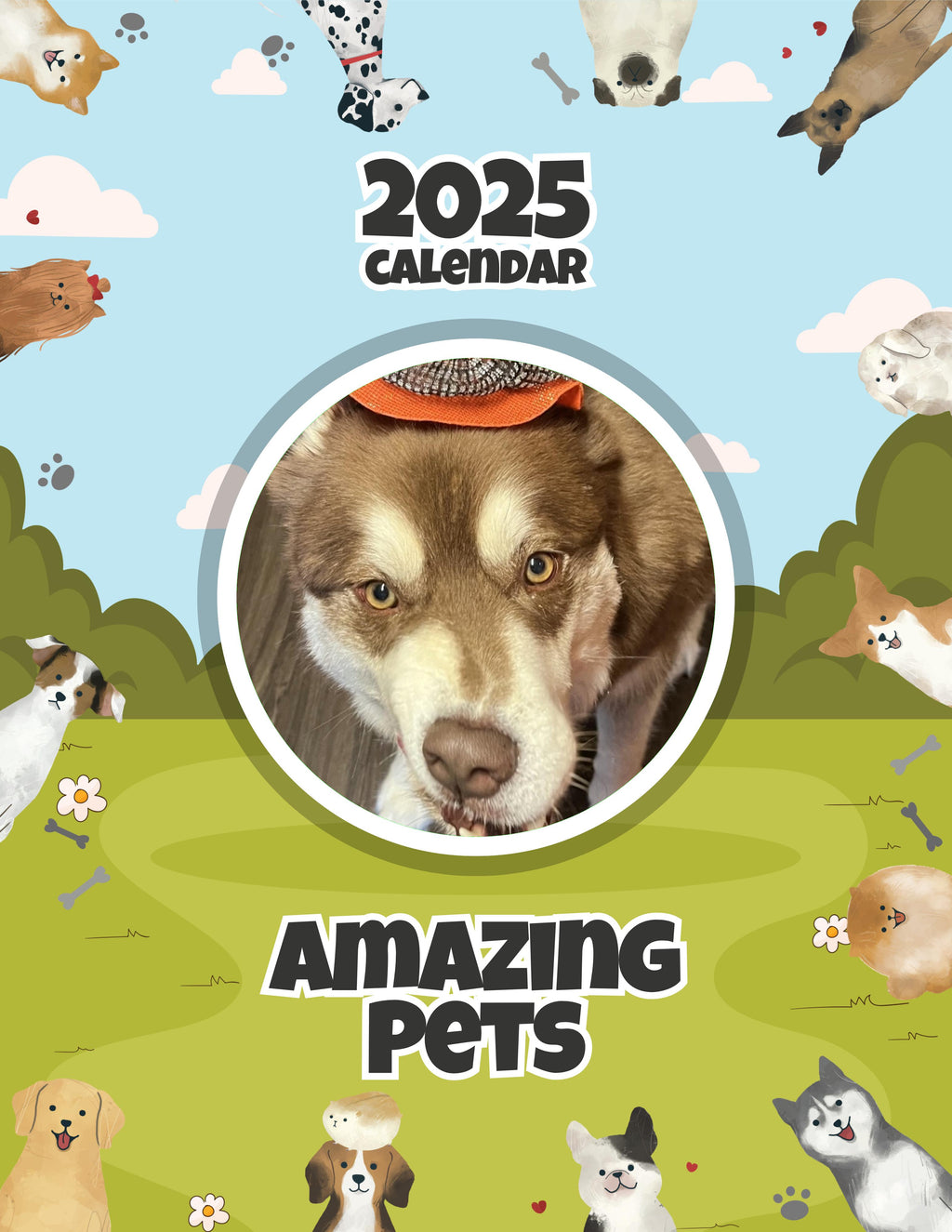 Amazing Pets: 2025 Wall Calendar (Pre-Order)