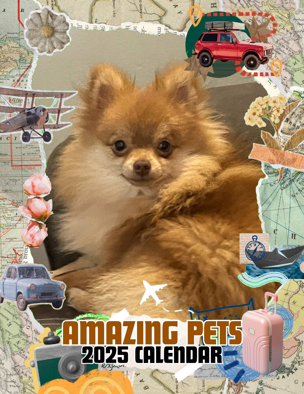Amazing Pets: 2025 Wall Calendar (Pre-Order)