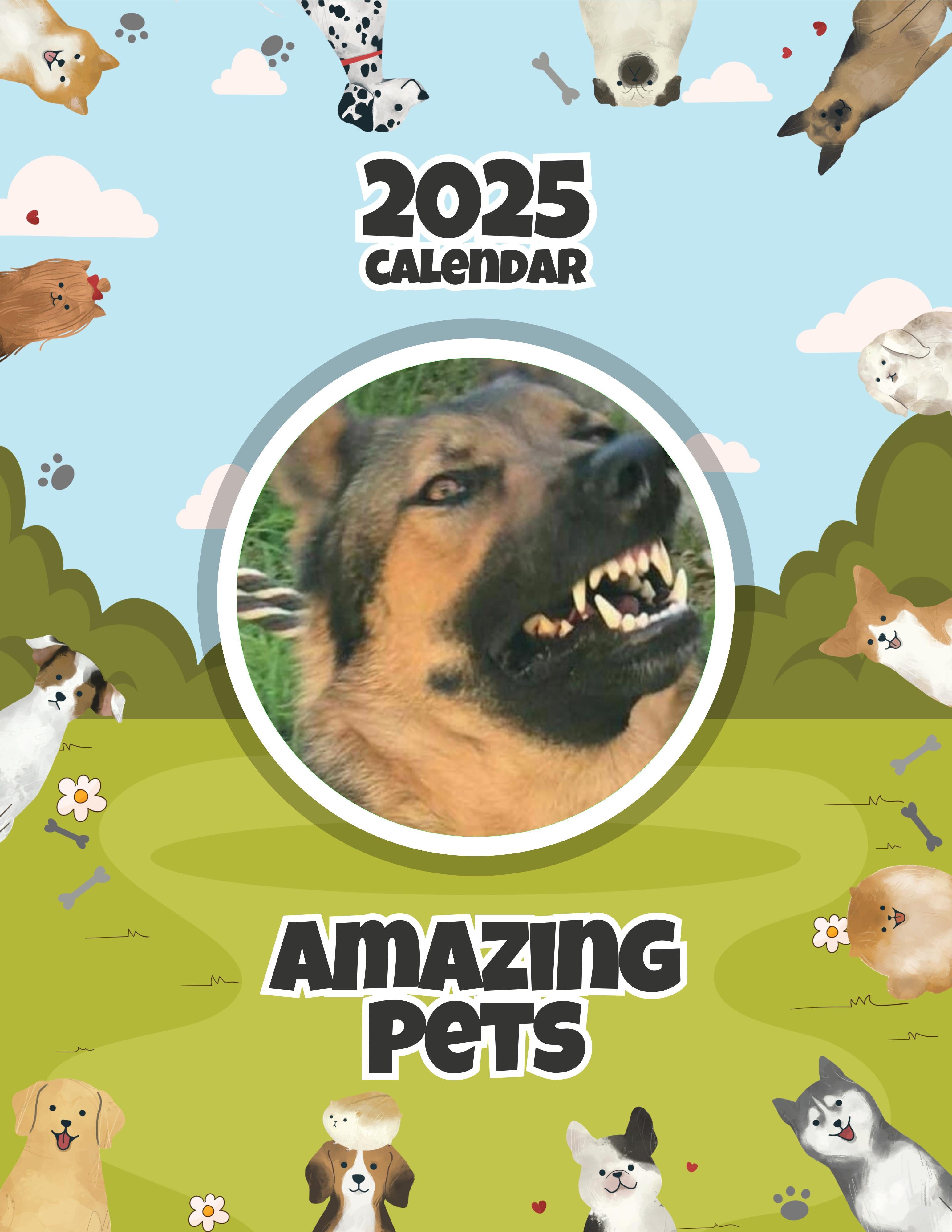 Amazing Pets: 2025 Wall Calendar (Pre-Order)