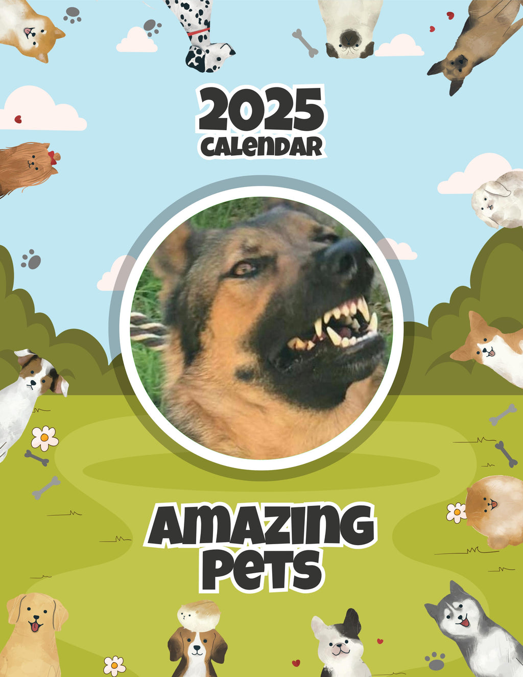 Amazing Pets: 2025 Wall Calendar (Pre-Order)