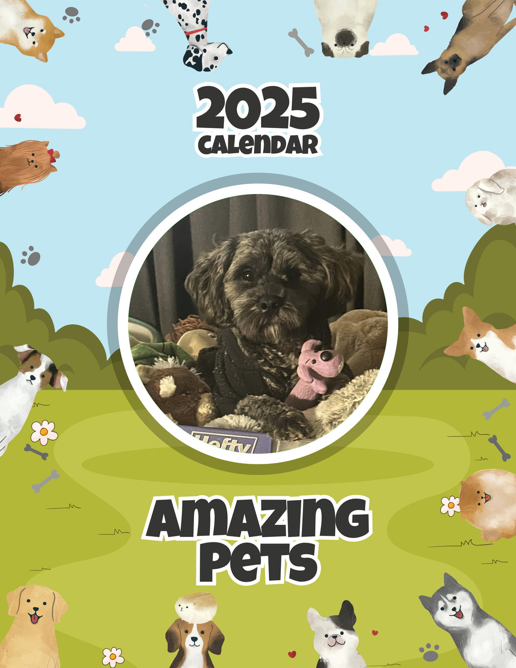 Amazing Pets: 2025 Wall Calendar (Pre-Order)