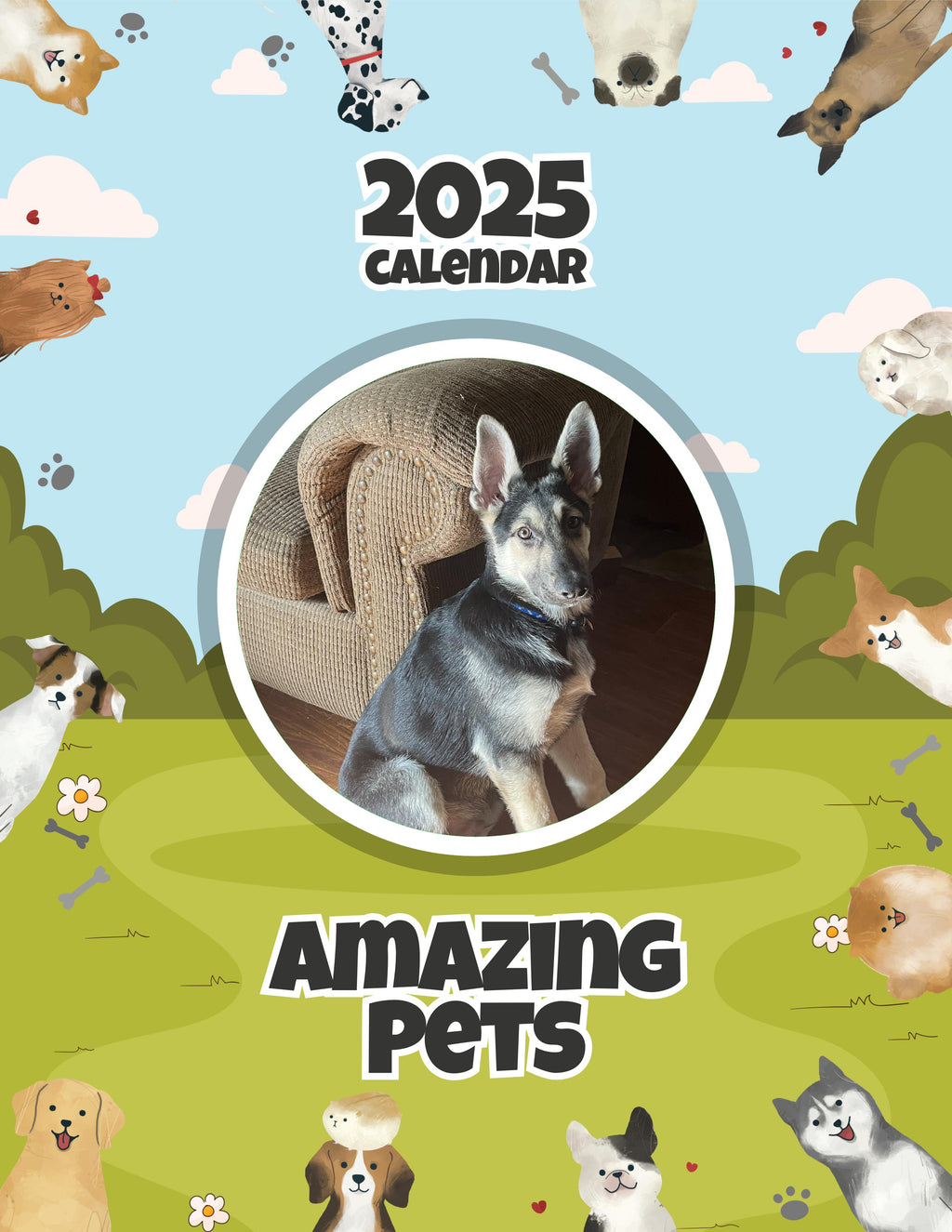 Amazing Pets: 2025 Wall Calendar (Pre-Order)