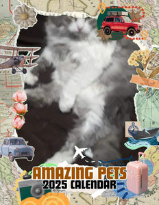 Amazing Pets: 2025 Wall Calendar (Pre-Order)
