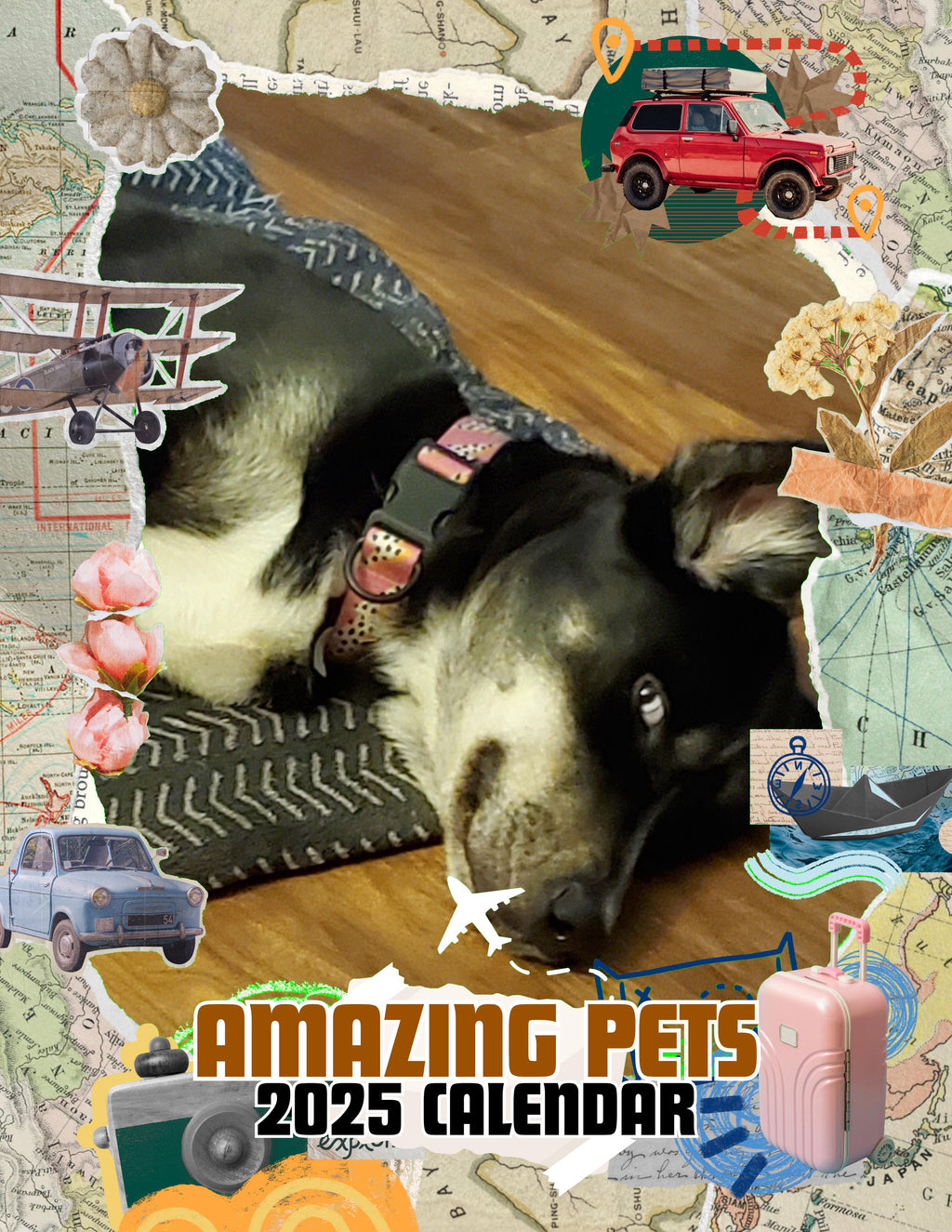 Amazing Pets: 2025 Wall Calendar (Pre-Order)